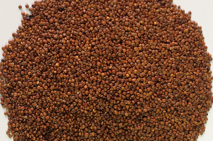 quinoa_red