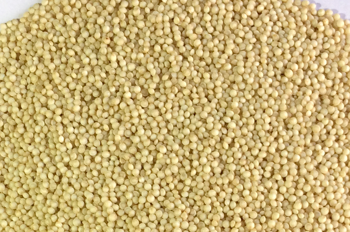 amaranth_grain